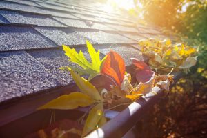 Keep your gutters free from debris and leaves to prevent water damage to your home | Gutter replacement and gutter repairs services from North Shore Home Works services Chicago, Northbrook, Highland Park, Lake Forest, Lake Bluff, Glenview, Kenilworth, Wilmette, Winnetka, and surrounding IL areas